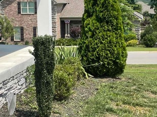 Mark O.'s Bush Trimming service result