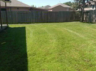 Matthew H.'s Lawn Care service result