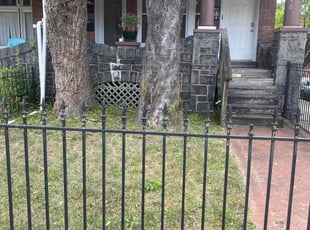 Leaf Removal by Andre Ruffin for Hyesung P. in Baltimore, MD