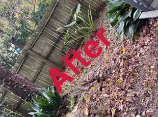 Cleanups by Patsy Robinson for Judy T. in Tallahassee, FL