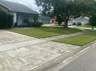 Hector C.'s Lawn Mowing service result