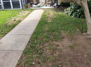 Leaf Removal by Allan Roberts for Angela J. in Washington, DC