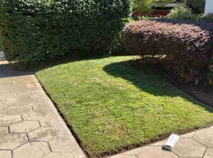 Bush Trimming by Antavious Douglas for Tim c. in Atlanta, GA
