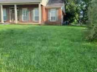 Jennifer N.'s Lawn Mowing service result