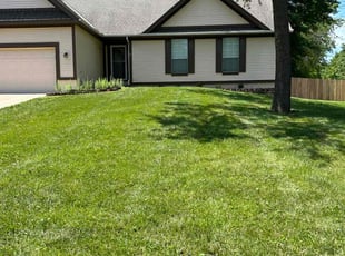 Hannah p.'s Grass Cutting service result