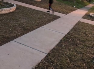 Leaf Removal by Samuel Onwuka for Ricardo M. in Round Rock, TX