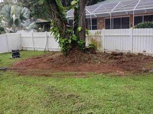 Cleanups by Jeff Owen for Natalie M. in Lakeland, FL