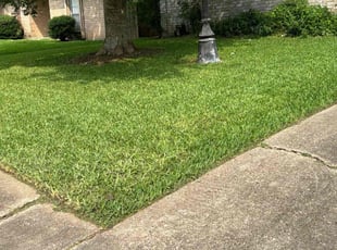 Chris D.'s Lawn Service service result