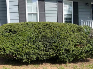 Cleanups by Zemery Woodruff for Halima F. in Dallas, GA
