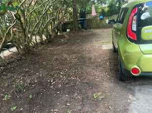 Virginia R.'s Leaf Removal service result