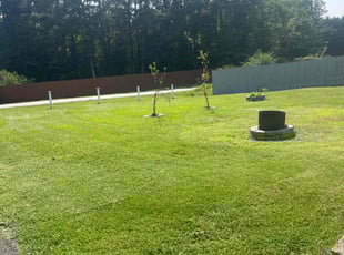 Darlene G.'s Lawn Service service result