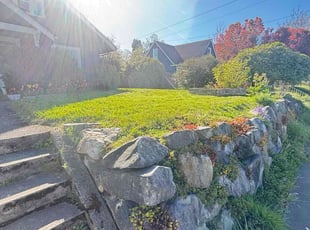 Sam Z.'s Lawn Care service result