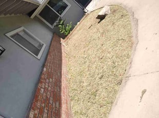 Weeding by Francisco Jacquez for Warren W. in Modesto, CA