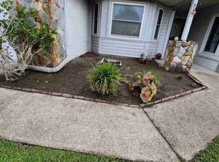 Weeding by Rolando Mojica Betancourt for Jose D C. in Kissimmee, FL