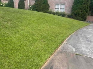 James H.'s Yard Cutting service result