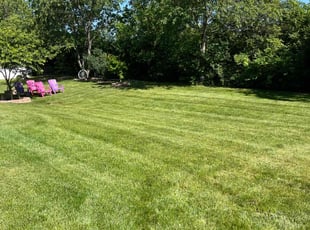 Michael M.'s Lawn Care service result