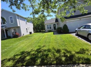 Roger G.'s Lawn Mowing service result