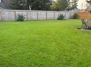 Shae C.'s Lawn Mowing Service service result