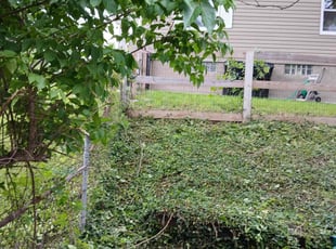 Weeding by James Abernathy for Sonya Z. in Cincinnati, OH