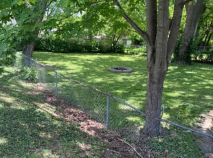 Catherine R.'s Lawn Mowing service result