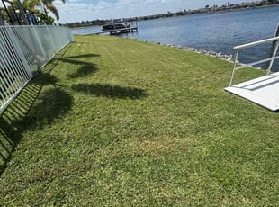 Jaqueline M.'s Lawn Maintenance service result