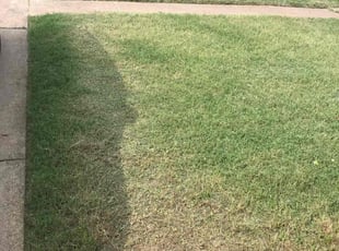 Cleanups by Juan Uribe for Marcus B. in Dallas, TX