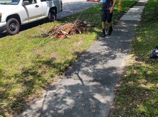 Leaf Removal by Josue Nunez for Stephanie M. in Winter Park, FL