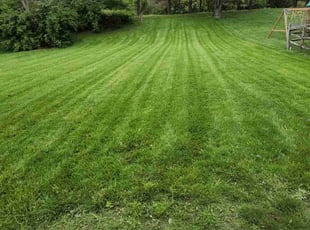 Lorraine E.'s Lawn Maintenance service result