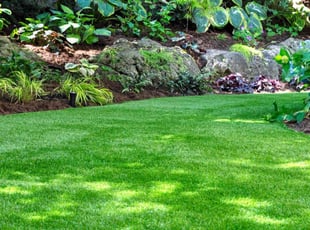 Susan C.'s Lawn Service service result