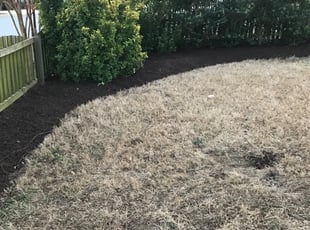Mulching by Chris Thomas for Warren R. in Midlothian, VA