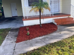 Mulching by Rupert Mclendon for Dena B. in Tampa, FL