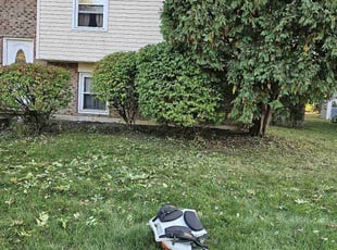 Bush Trimming by Leroy Green II for Hassan O. in Westerville, OH