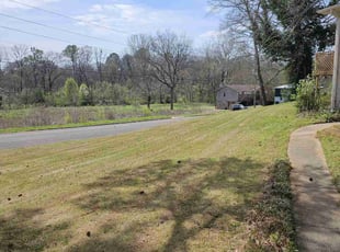 Randolph J.'s Yard Cutting service result
