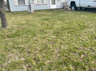 Jesse H.'s Grass Cutting service result