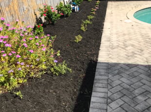 Mulching by Dustin Yaklin for Cheryl M. in Delray Beach, FL