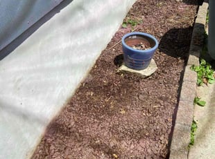 Leaf Removal by Westley West for Steven H. in Catonsville, MD