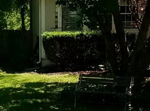 Bush Trimming by Jeffery Hartupee for Katie J. in Kansas City, MO