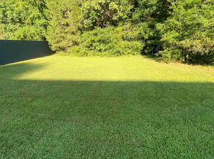 Liz H.'s Lawn Mowing service result