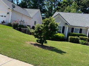Elaina B.'s Lawn Mowing service result