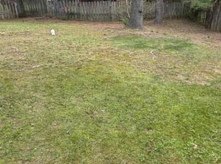 Leaf Removal by Kenneth Charles for Justin C. in Cary, NC