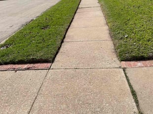 Ismatu K.'s Lawn Care service result