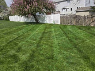 Roger G.'s Lawn Mowing service result