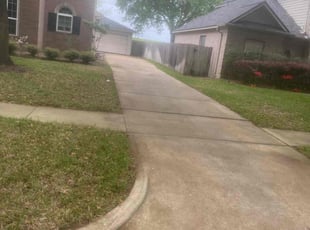 Leaf Removal by Rene Contreras for Kanako N. in Sugar Land, TX