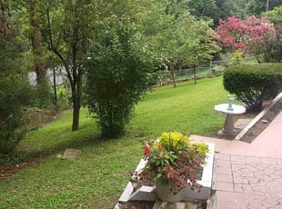 Jose B.'s Lawn Mowing Service service result