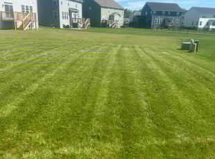 Erin P.'s Lawn Service service result