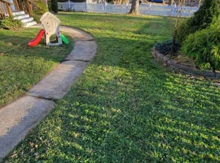 Cleanups by Edwin Villagran for Benjamin . in Rockville, MD