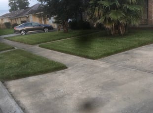 Landscaping by Tyrone Cosey for Kelly k. in New Orleans, LA