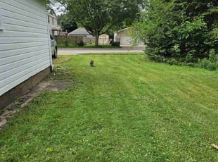Nicholas C.'s Lawn Mowing service result