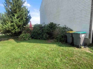 Bush Trimming by Sevriano Seda for Undefined C. in Newark, DE
