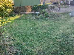 Cleanups by Chris Deshon for Kenneth C. in Granite City, IL